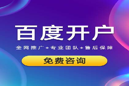 百度广告投放策略优化及成功案例解析